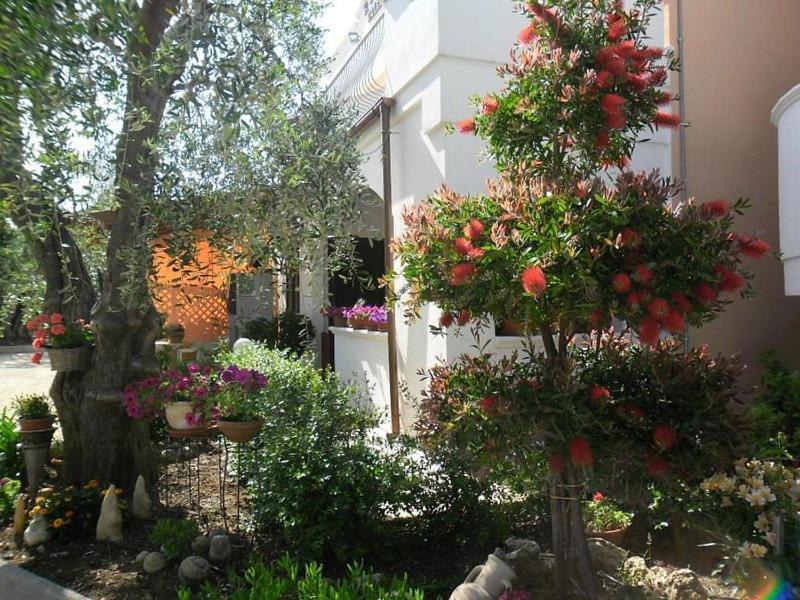Residence Valleverde Vieste Kültér fotó